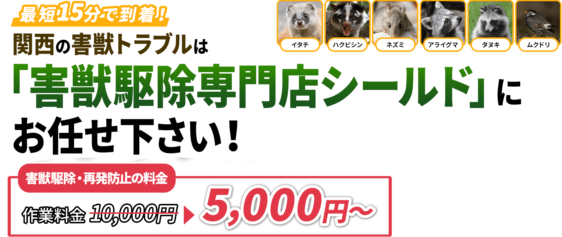 最短15分で到着　「ハクビシン」「イタチ」「ネズミ」「アライグマ」「タヌキ」「ムクドリ」関西のの害獣被害のトラブルは「害獣駆除専門店シールド」」にお任せください！害獣駆除・再発防止の料金5,000円から