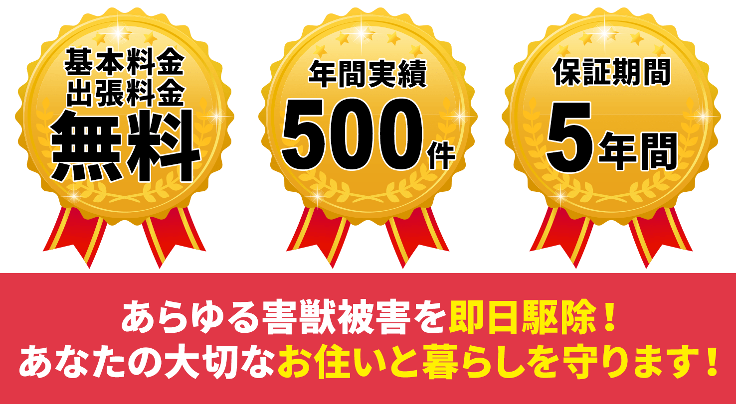 あらゆる害獣被害を即日駆除！あなたの大切なお住まいと暮らしを守ります！「基本料金出張料金無料」「年間実績500件」「保証期間5年間」