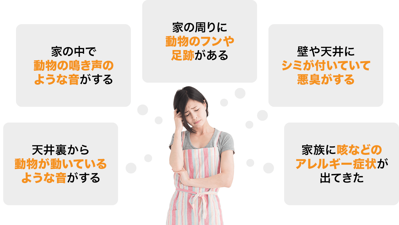 「天井裏から動物が動いているような音がする」「家の中で動物の鳴き声のような音がする」「家の周りに動物のフンや足跡がある」「壁や天井にシミが付いていて悪臭がする」「家族に咳などのアレルギー症状が出てきた」